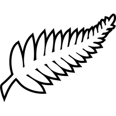 New Zealand — Landslag